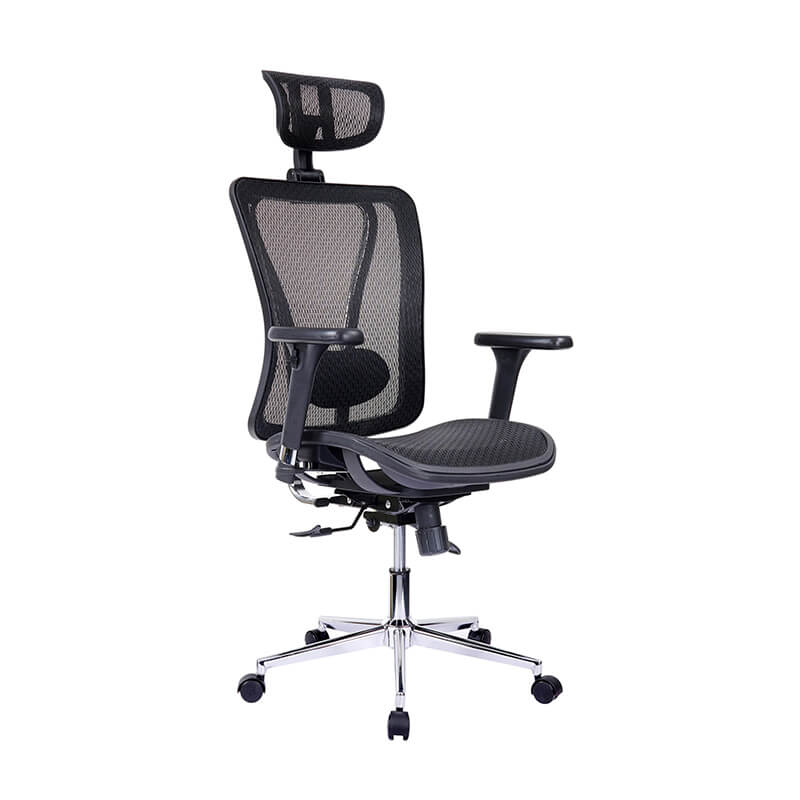 Ergonomic Executive Office Chair - 1