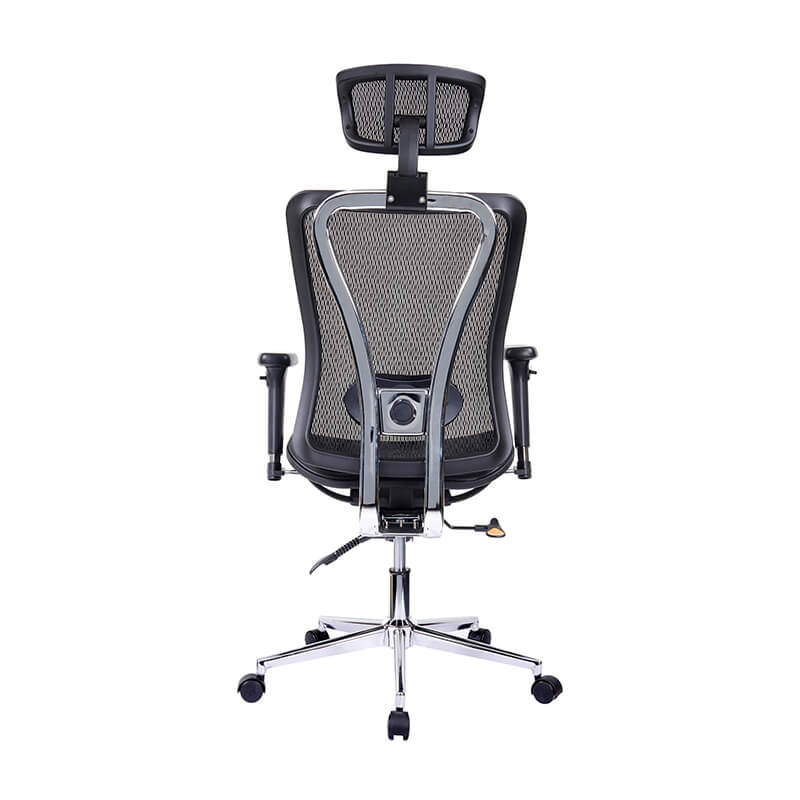 Ergonomic Executive Office Chair - 2