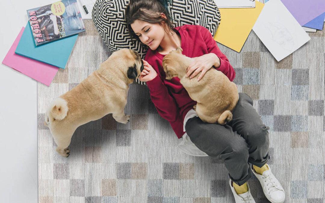 5 Best Pet-friendly Rugs for Dog and Cat Owners