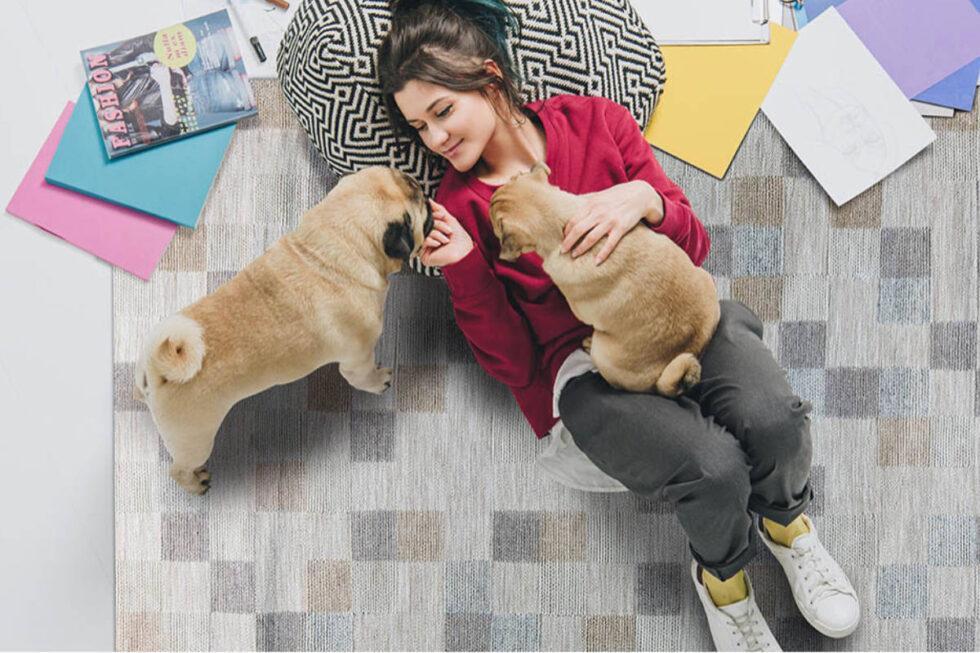 5 Best Petfriendly Rugs for Dog and Cat Owners