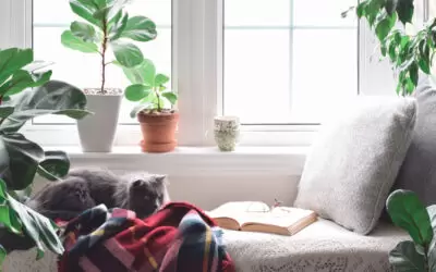 Creating a Cozy Reading Nook: Tips and Ideas
