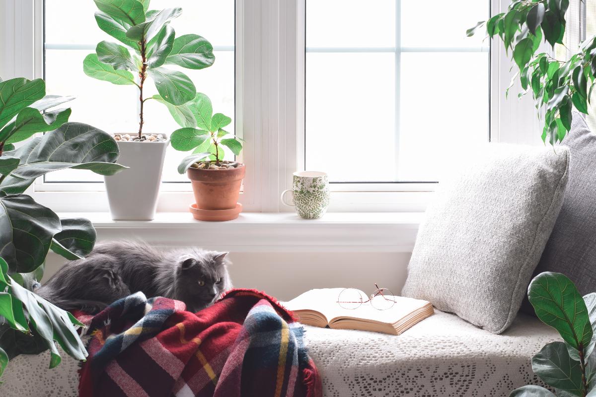 Creating a Cozy Reading Nook: Tips and Ideas